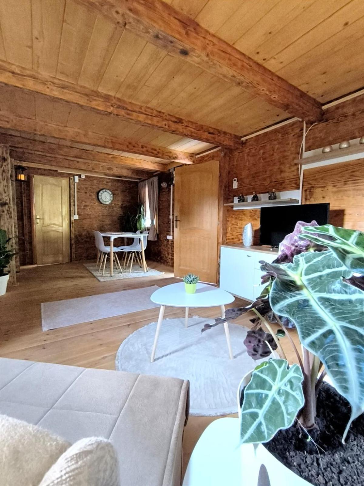 Virpazar Raj Kod Kumovaヴィラ 部屋 写真